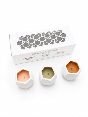 D.L. & Co Ceramic Soy Candles Set of 3 - New in Box - Rare
